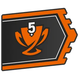 Fleet Cup 5 Champion flag
