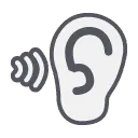 Auditory Stimulus