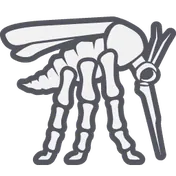 Mosquito Brutes